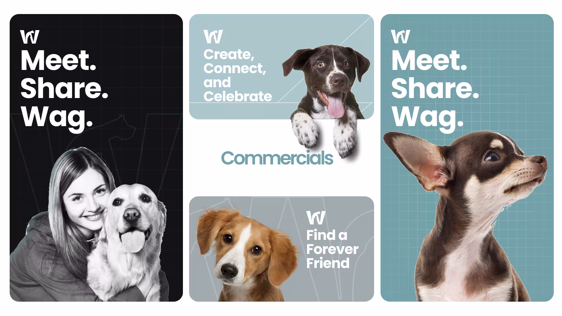 Whizkerz brand application 4