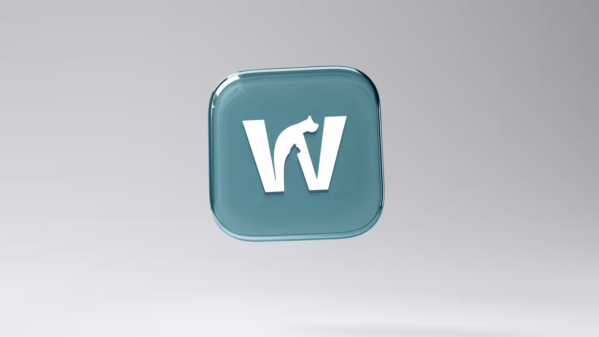 Whizkerz brand application 3