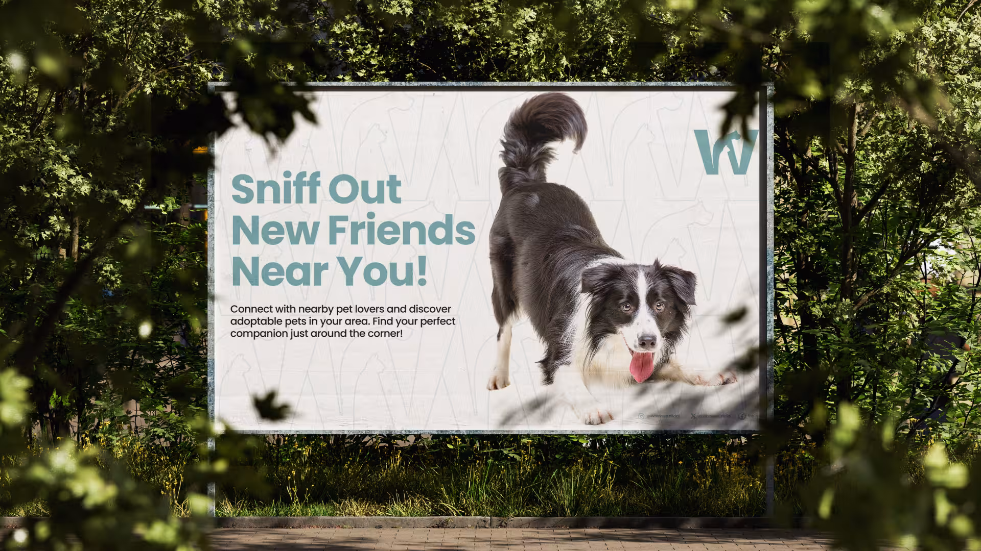 Outdoor billboard ad reading Sniff Out New Friends Near You, featuring a dog and the Whizkerz mark