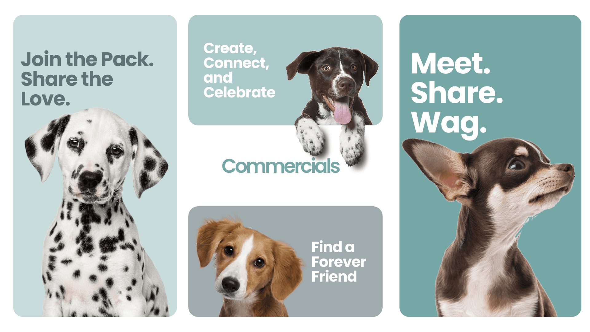 Whizkerz brand application 4
