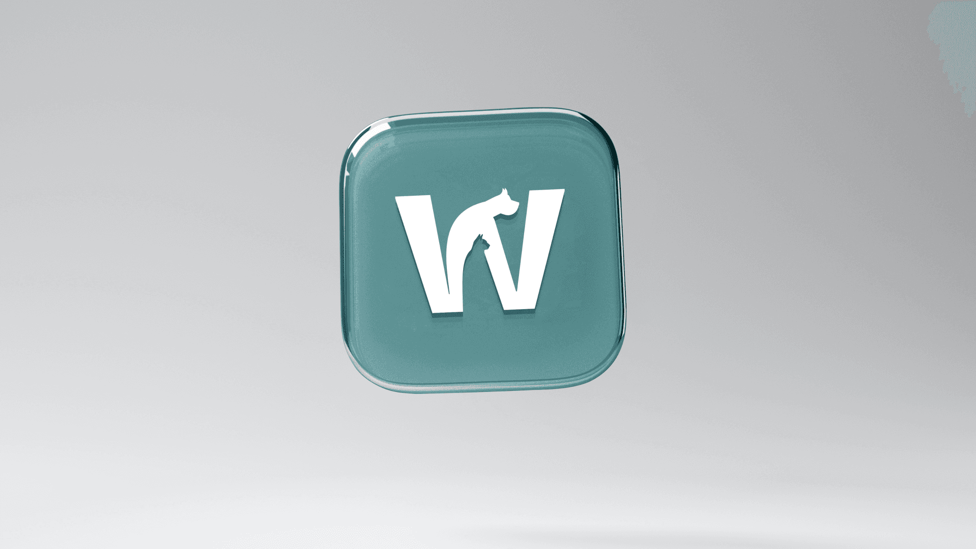 Whizkerz brand application 3