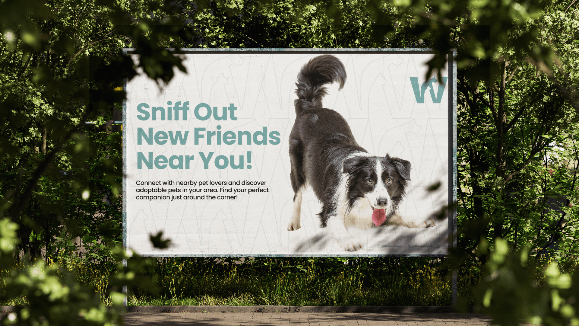 Outdoor billboard ad reading Sniff Out New Friends Near You, featuring a dog and the Whizkerz mark